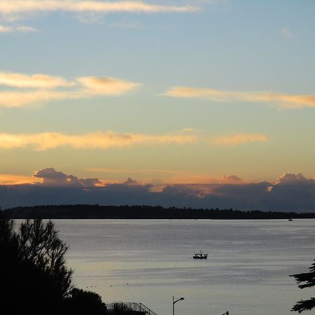 Beau 2 pièces 3 étoiles Vue Mer Garage Privé 150m plages wifi Cannes Esterno foto